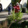 10 c Wanderung bei Lauterburg